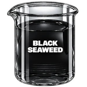 BLACK SEAWEED