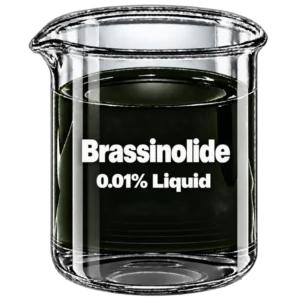 Brassinolide 0.01% Liquid