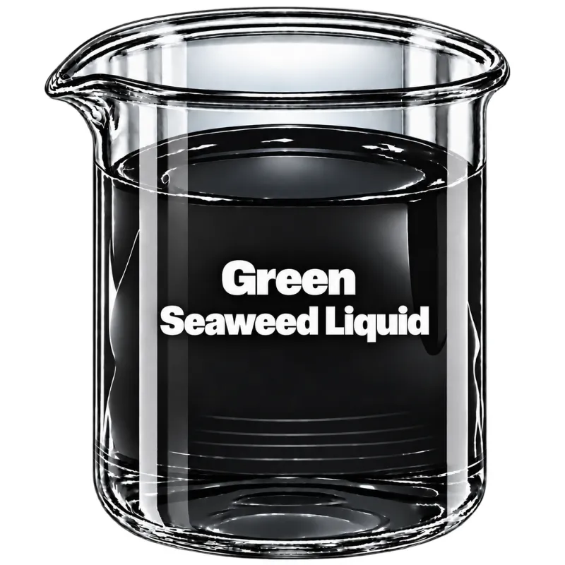 Green Seaweed Liquid