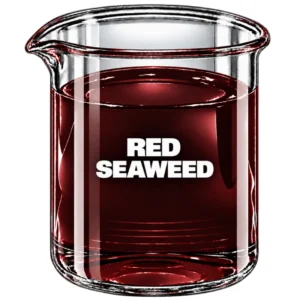 RED SEAWEED